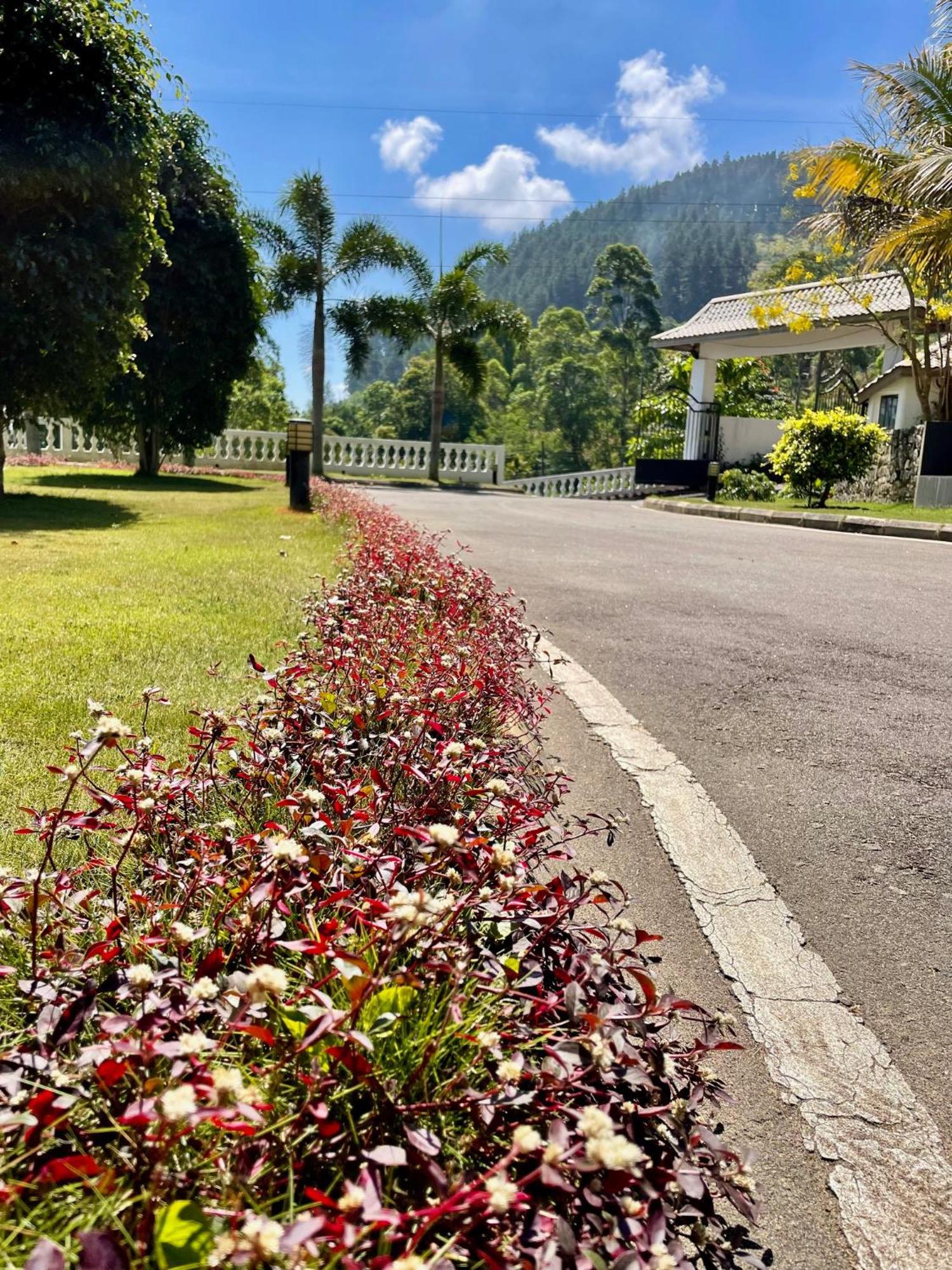 Bellwood Hills Resort & Spa Kandy Exterior foto